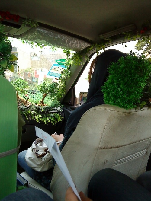 تاکسی جالب جنگلی در تهران!! + عکس